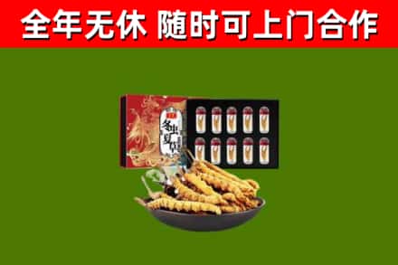 阳新县回收冬虫夏草价格